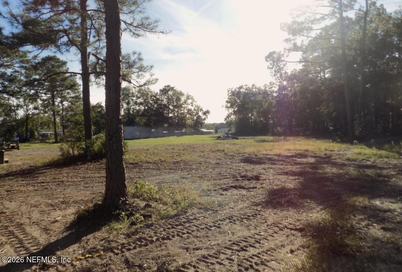 351-335 Otis Road Jacksonville, FL 32220 - Photo 11 of 16 a view of a yard with a tree