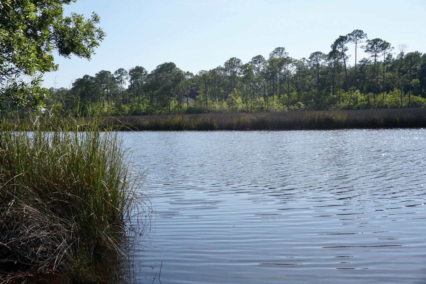 131 Wayne Trail Santa Rosa Beach, FL 32459 - Photo 11 of 15