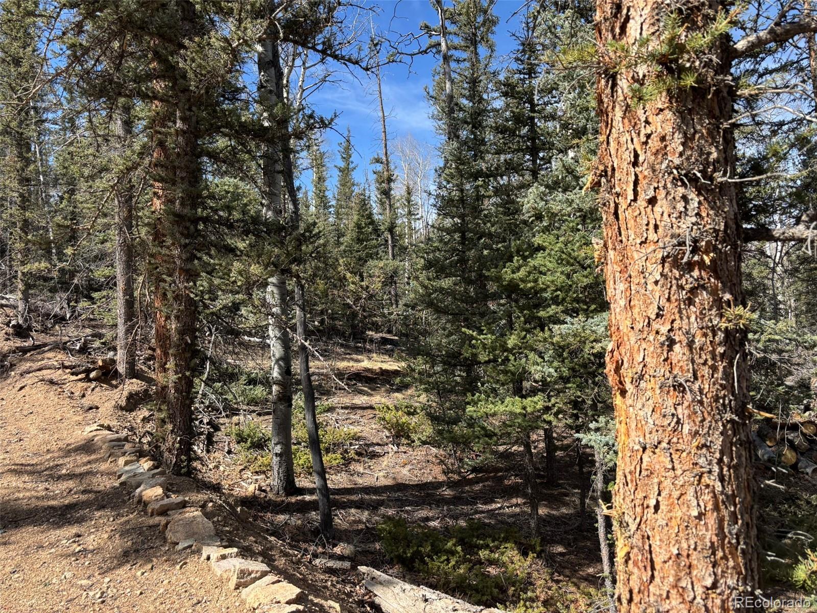 509 Tepee Trail Como, CO 80432 - Photo 11 of 36 a backyard of a house
