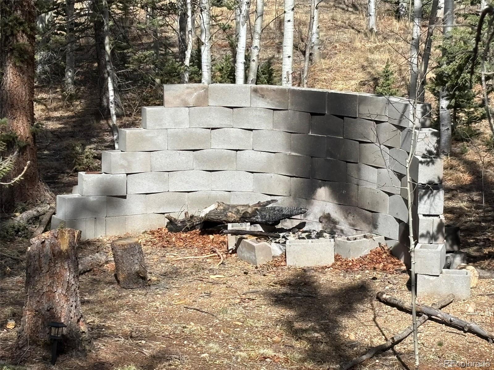 509 Tepee Trail Como, CO 80432 - Photo 13 of 36 a view of lot of snow with tree in back