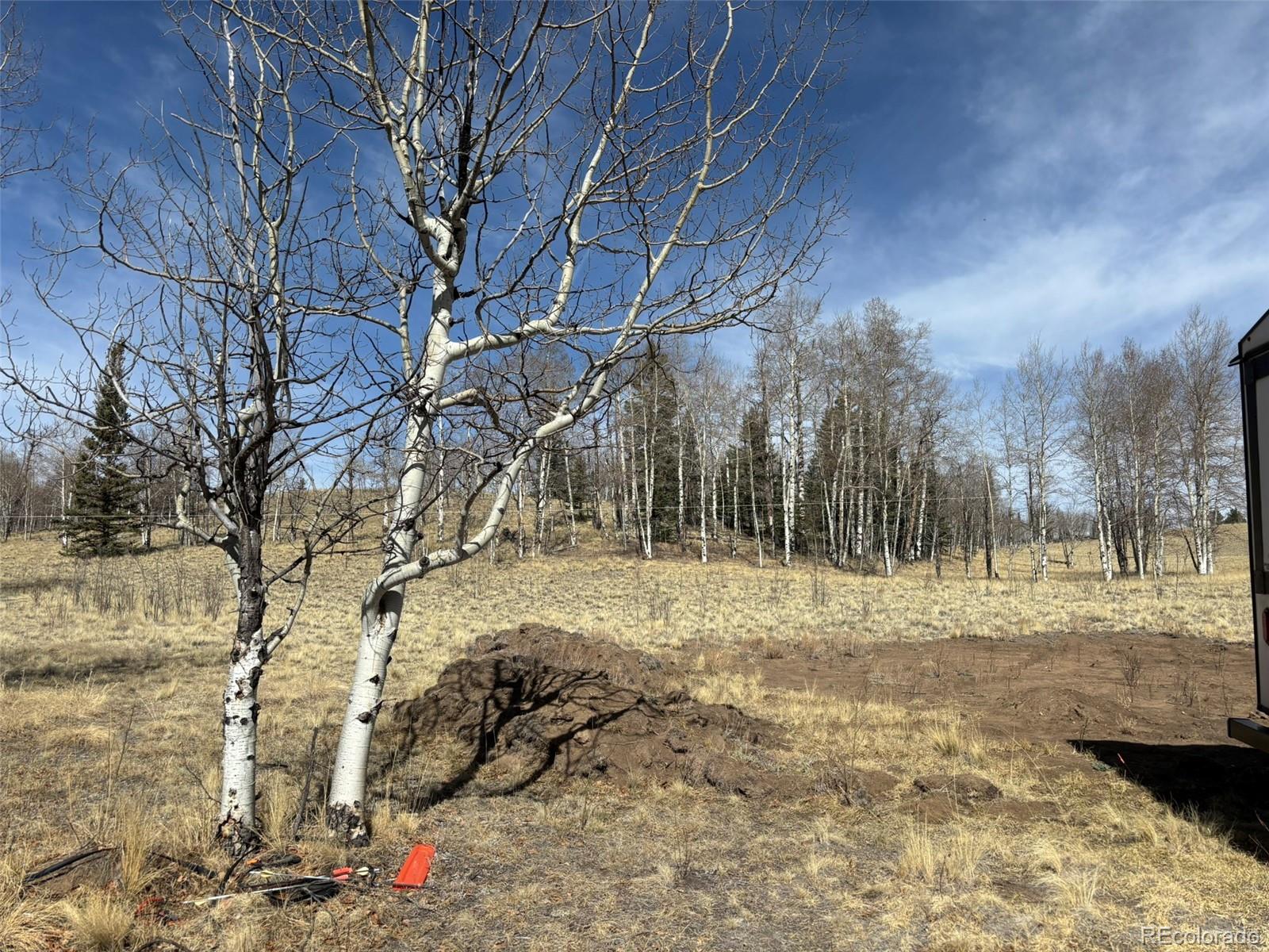 509 Tepee Trail Como, CO 80432 - Photo 15 of 36 a view of dirt yard with a large tree