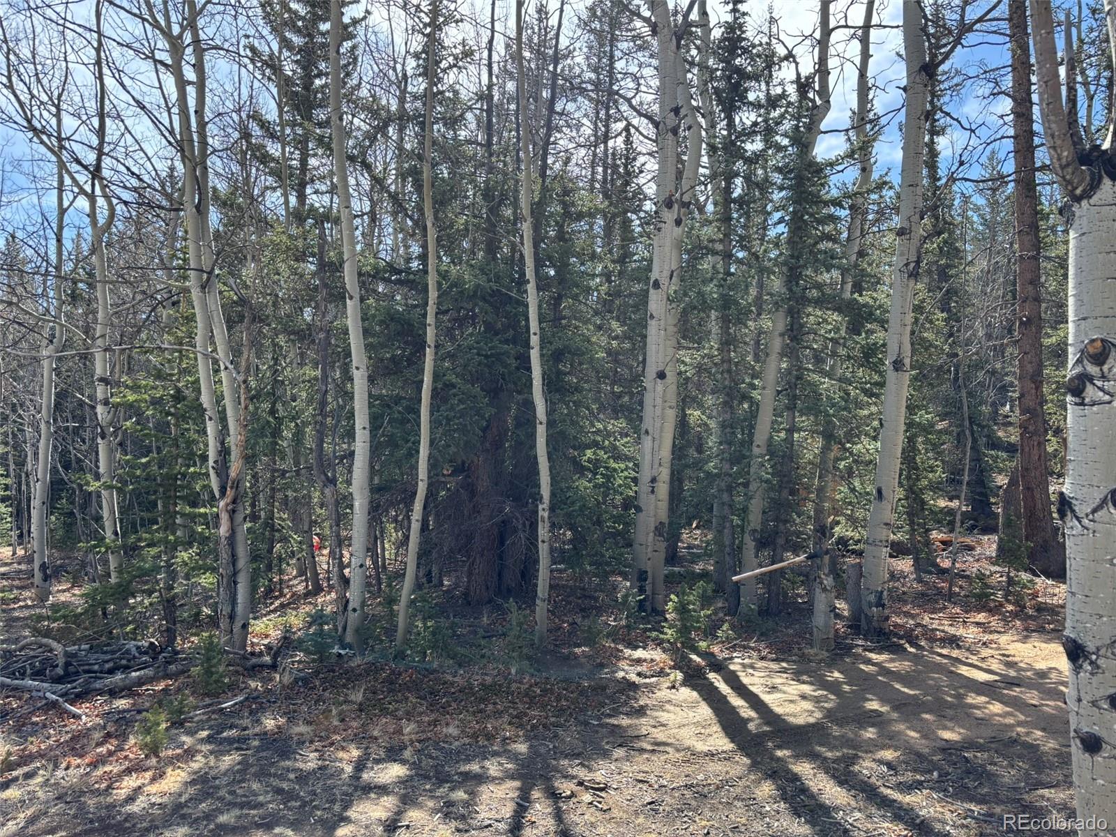 509 Tepee Trail Como, CO 80432 - Photo 17 of 36 a view of a forest with trees in the background