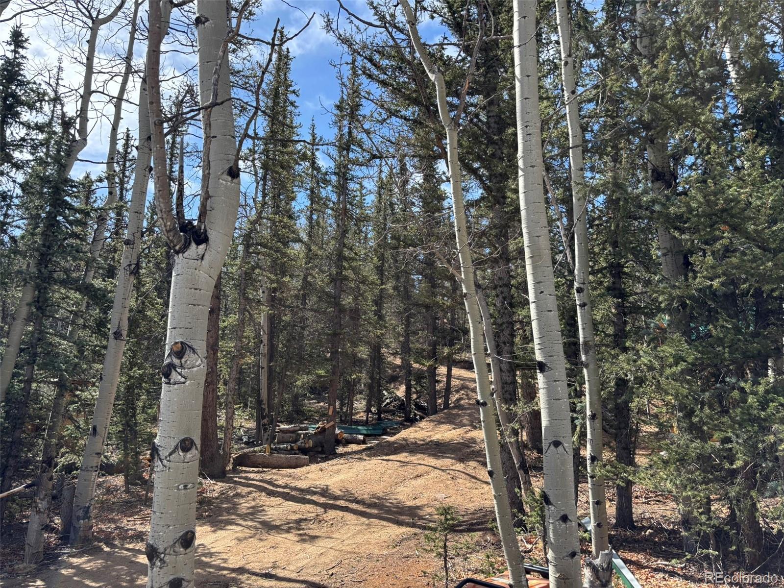 509 Tepee Trail Como, CO 80432 - Photo 20 of 36 a view of a house with a tree