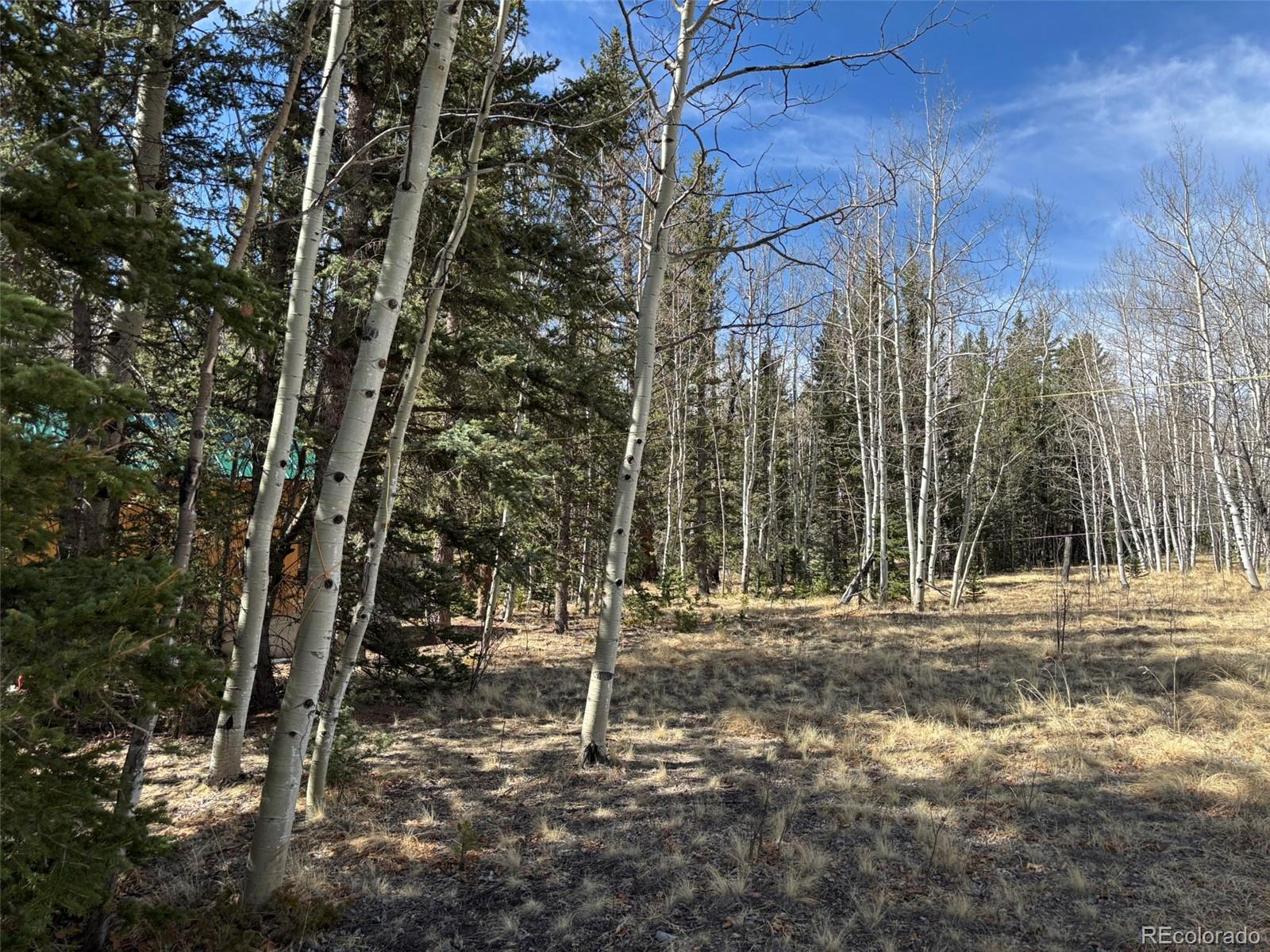 509 Tepee Trail Como, CO 80432 - Photo 21 of 36 a view of outdoor space with trees