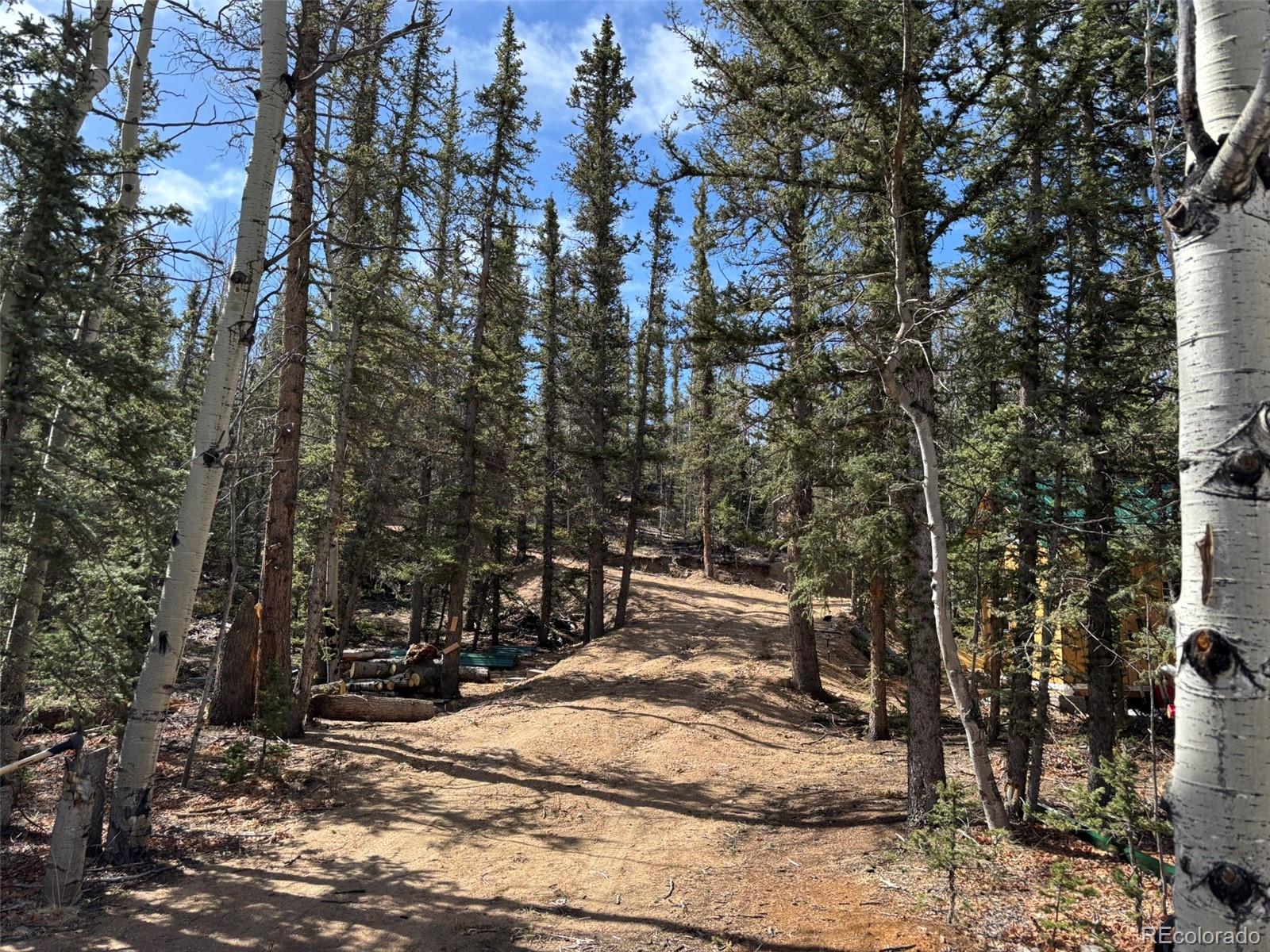 509 Tepee Trail Como, CO 80432 - Photo 25 of 36 a view of outdoor space and yard