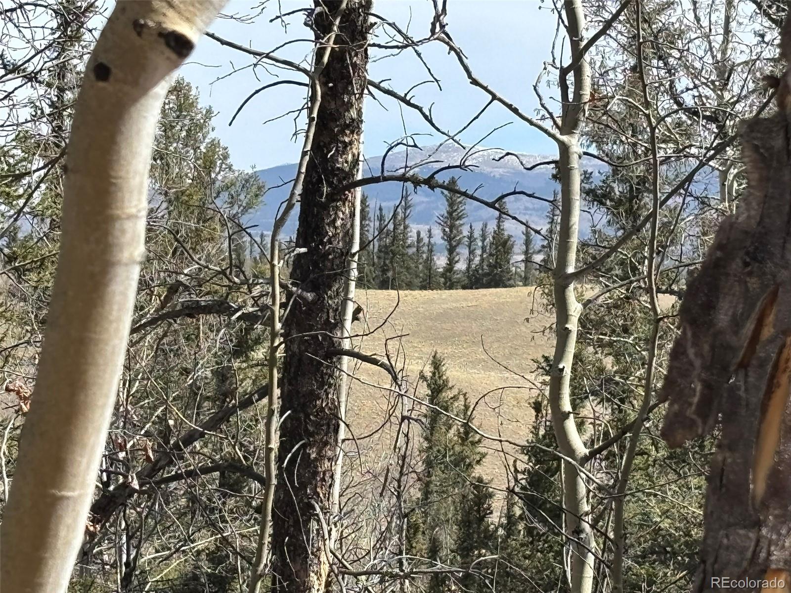 509 Tepee Trail Como, CO 80432 - Photo 26 of 36 a view of a yard with large trees