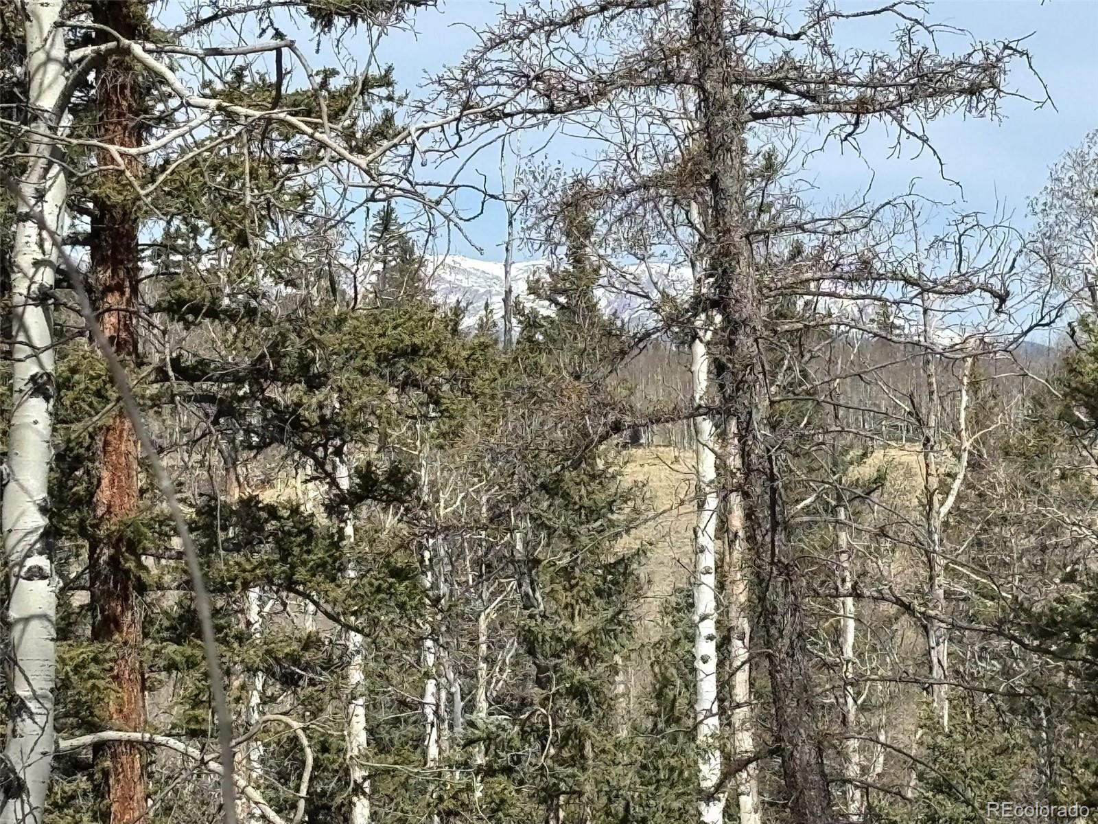 509 Tepee Trail Como, CO 80432 - Photo 27 of 36 a close up of a tree