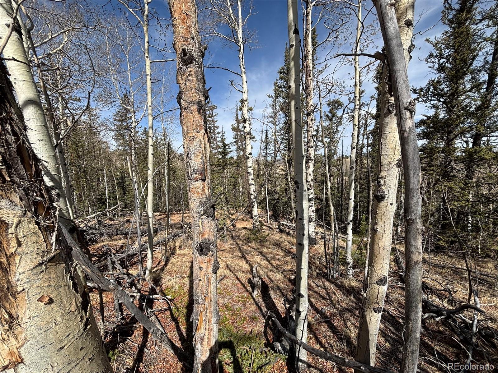 509 Tepee Trail Como, CO 80432 - Photo 28 of 36 a view of a city with lots of trees
