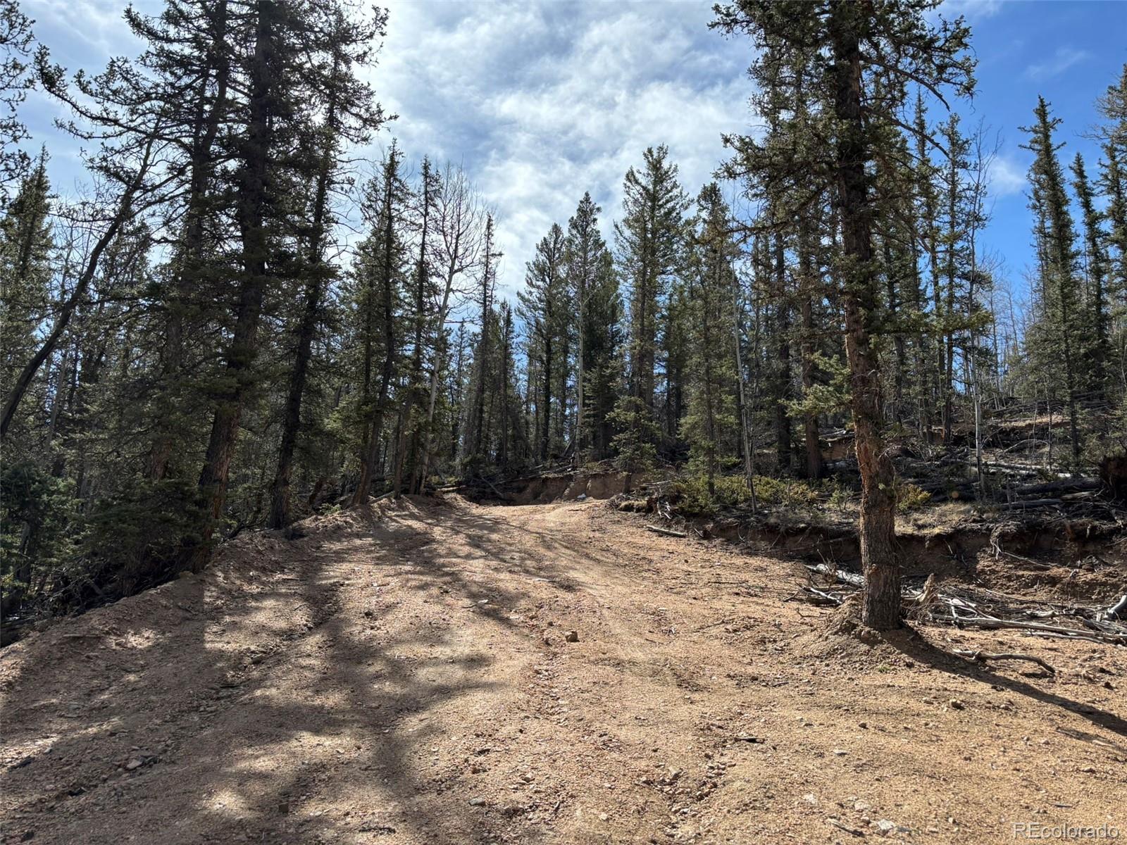 509 Tepee Trail Como, CO 80432 - Photo 29 of 36 a view of a forest filled with trees