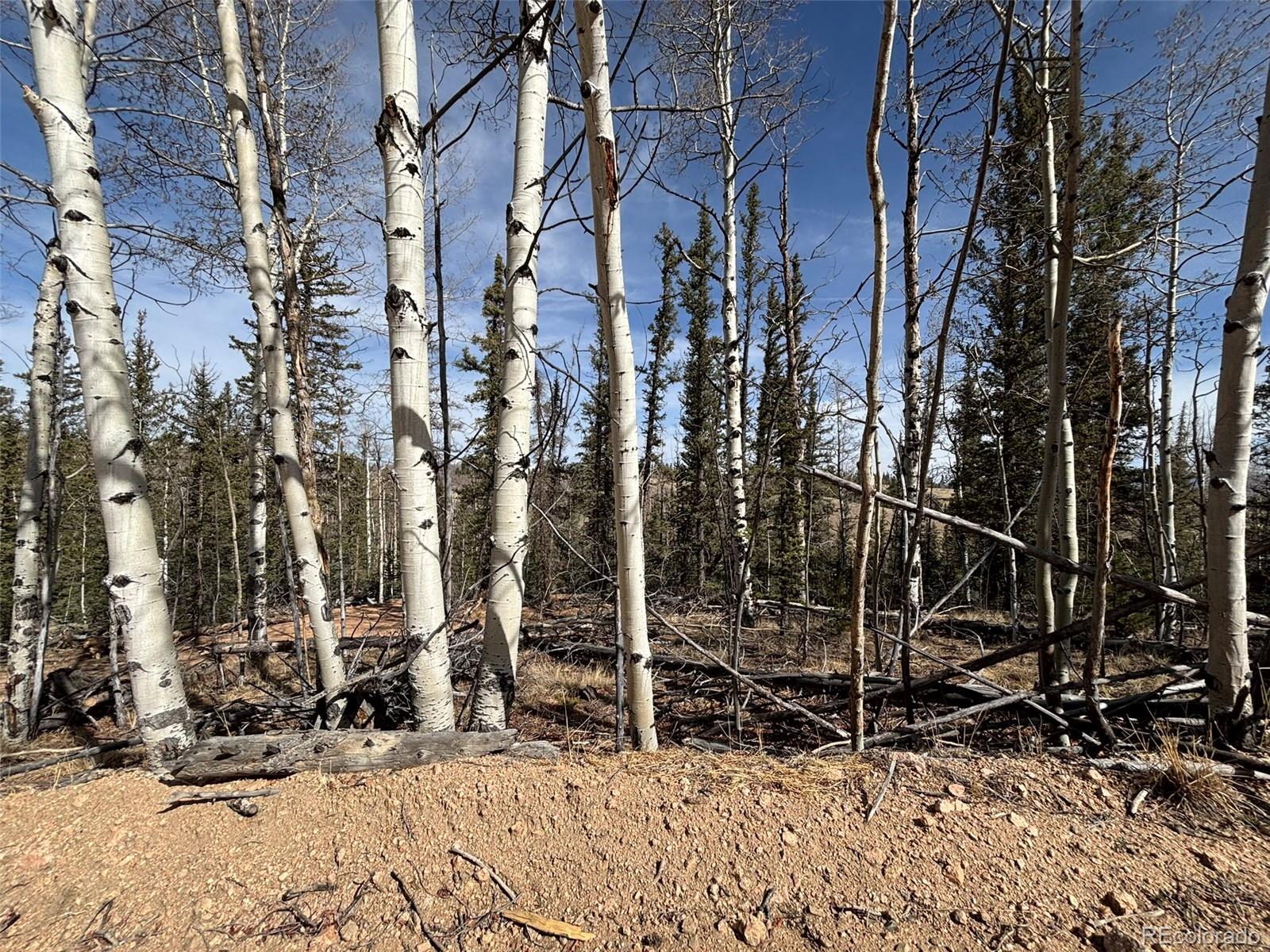 509 Tepee Trail Como, CO 80432 - Photo 30 of 36 a view of outdoor space
