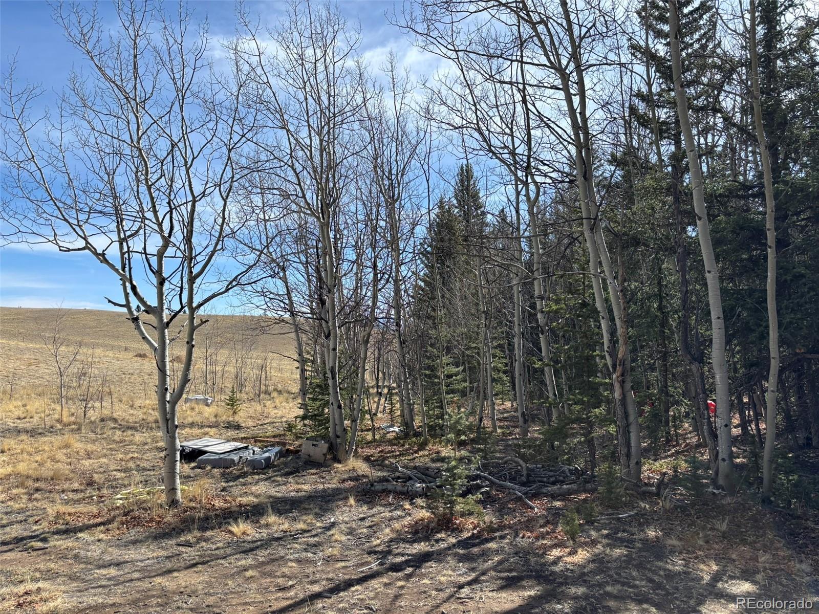 509 Tepee Trail Como, CO 80432 - Photo 31 of 36 a view of a yard with trees