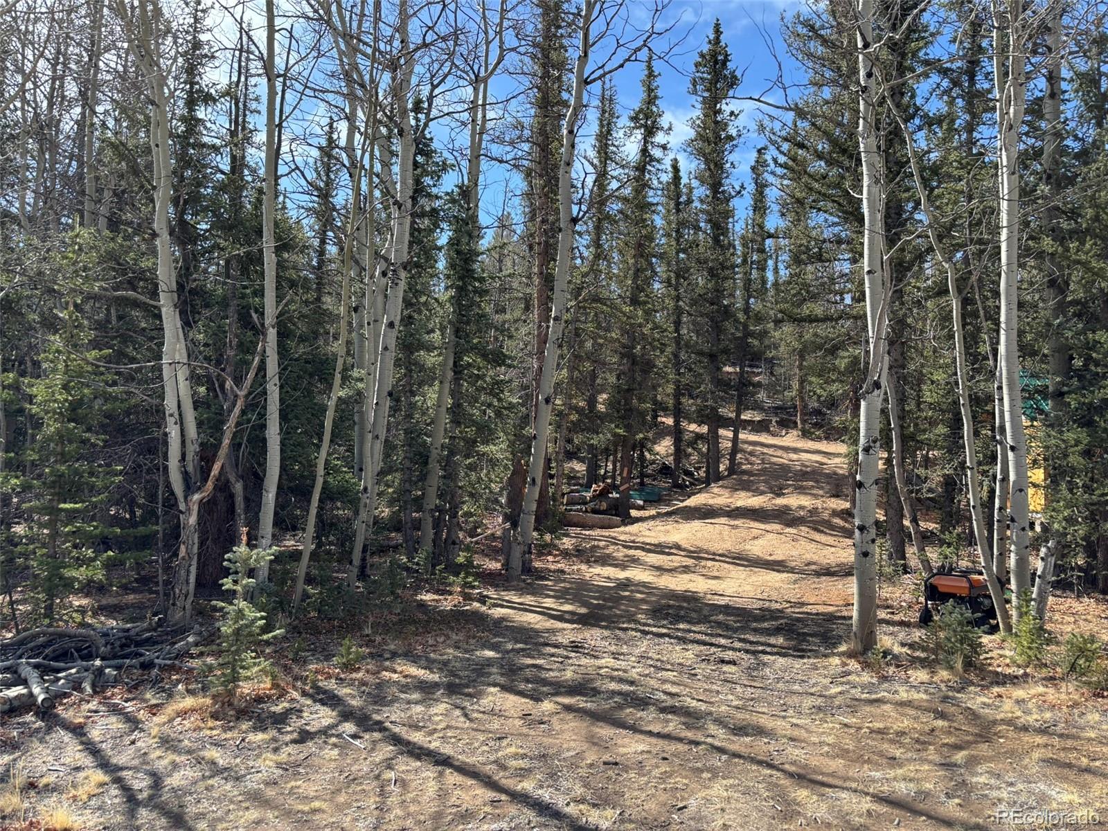 509 Tepee Trail Como, CO 80432 - Photo 9 of 36 a view of a forest with trees
