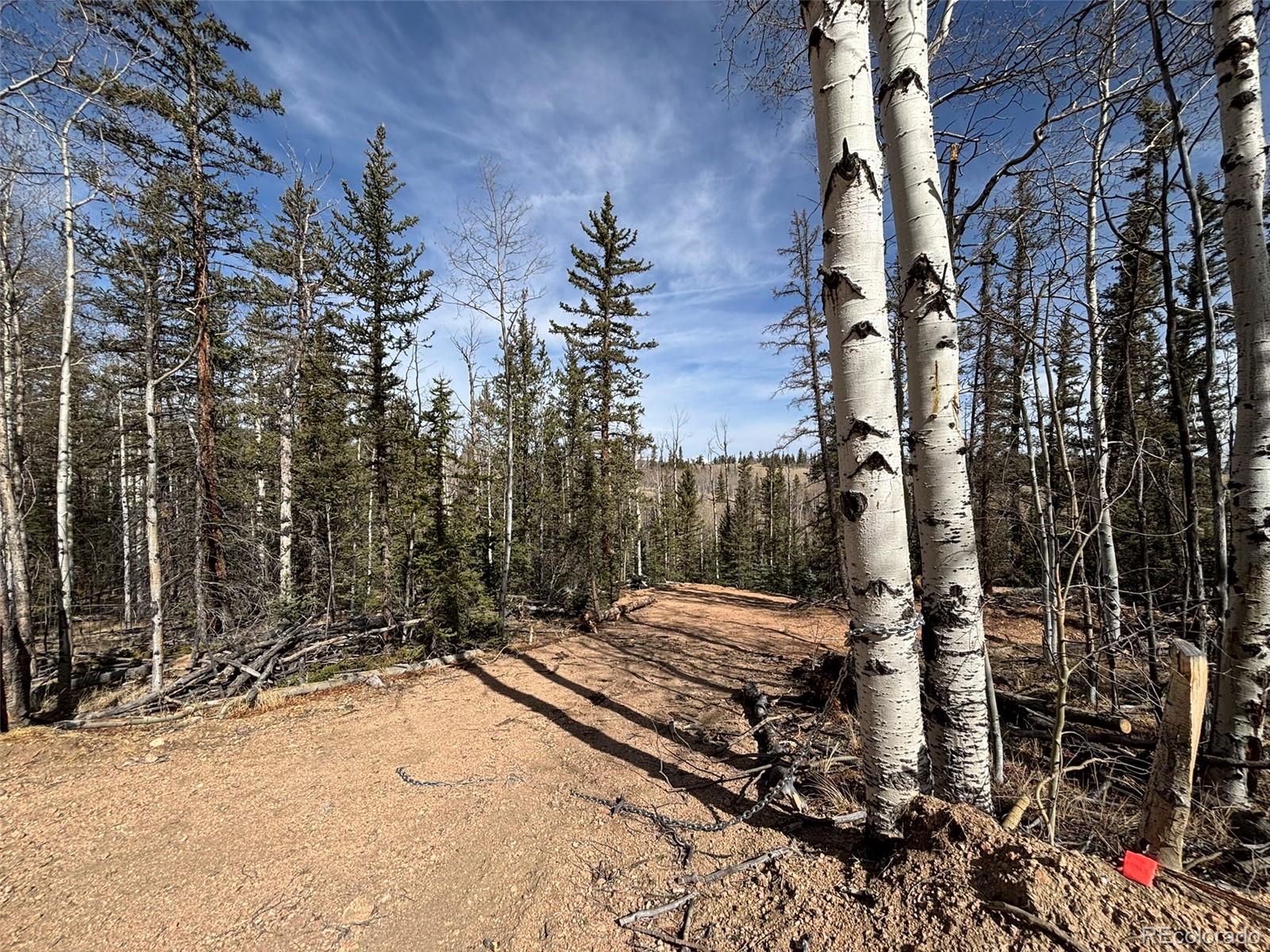 509 Tepee Trail Como, CO 80432 - Photo 10 of 36 a view of a backyard of the house