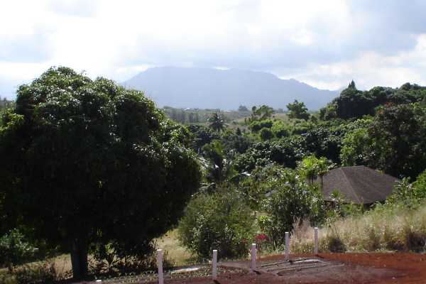 4849 Lani Road Kapaa, HI 96746 - Photo 6 of 8 a view of a yard
