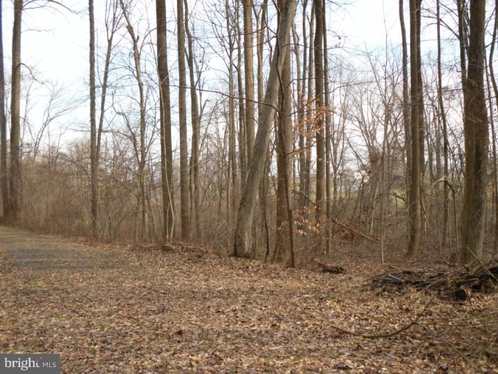 Lot 2 Mohns Hill Road Sinking Spring, PA 19608 - Photo 7 of 7