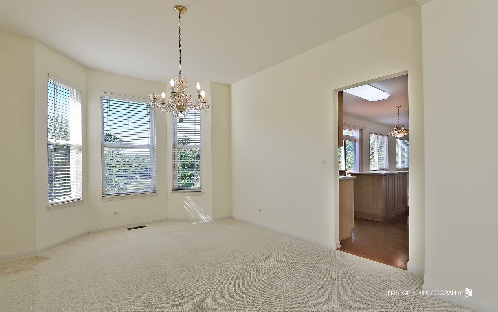 25619 West Bluestem Road Round Lake, IL 60073 - Photo 13 of 33 a view of an empty room with a window
