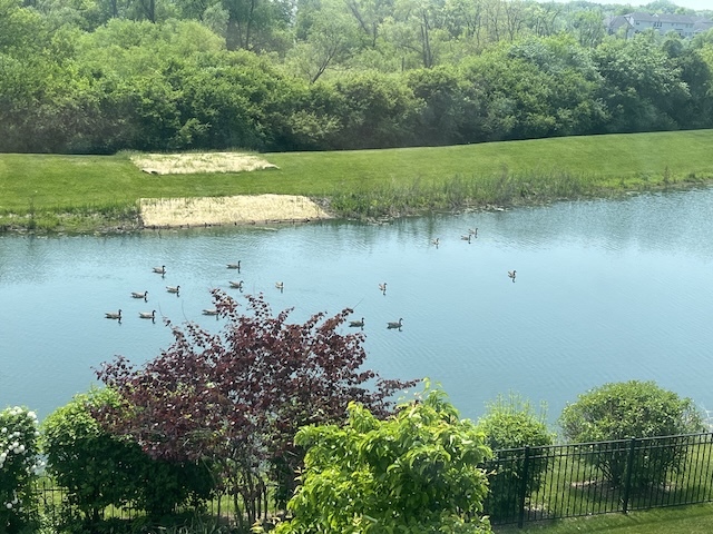 25619 West Bluestem Road Round Lake, IL 60073 - Photo 29 of 33 a view of a lake with a yard and potted plants