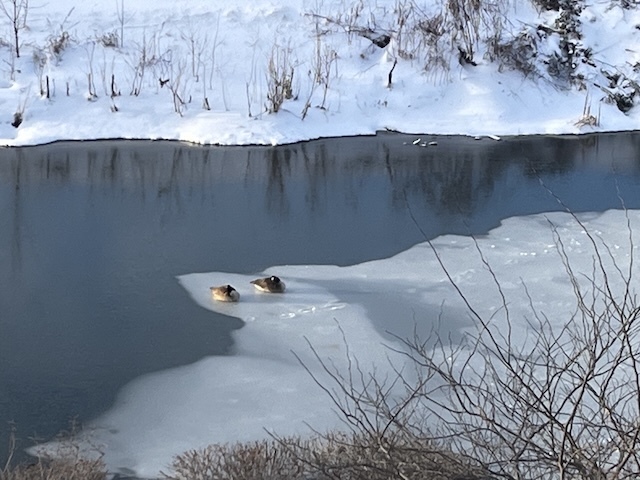 25619 West Bluestem Road Round Lake, IL 60073 - Photo 30 of 33 a bathroom with a sink and painted walls