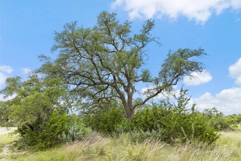 a view of an outdoor space and a yard
