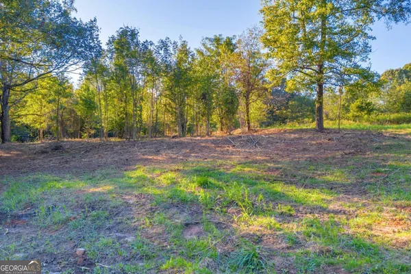 a view of a tree with a wooden fence
