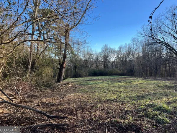 a view of backyard of the house