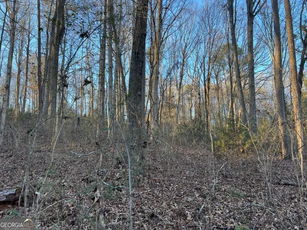 a view of tree next to a yard