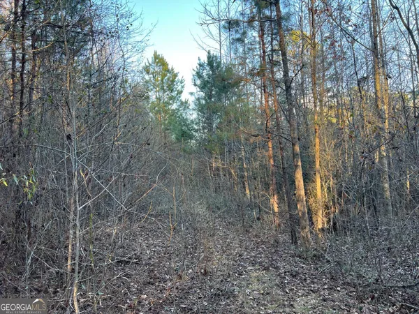 $469,000 | 4638 Highway 63, Carnesville, GA 30521