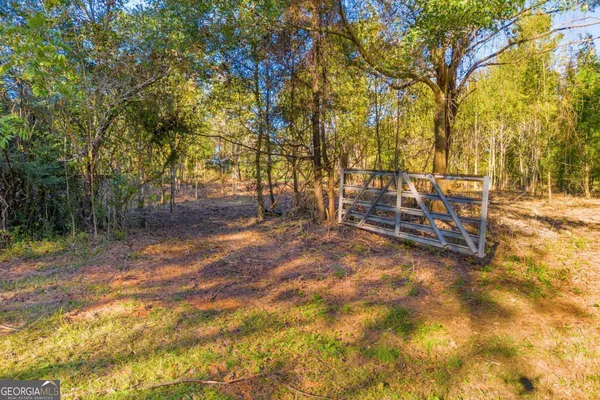 a view of a field with trees in the background