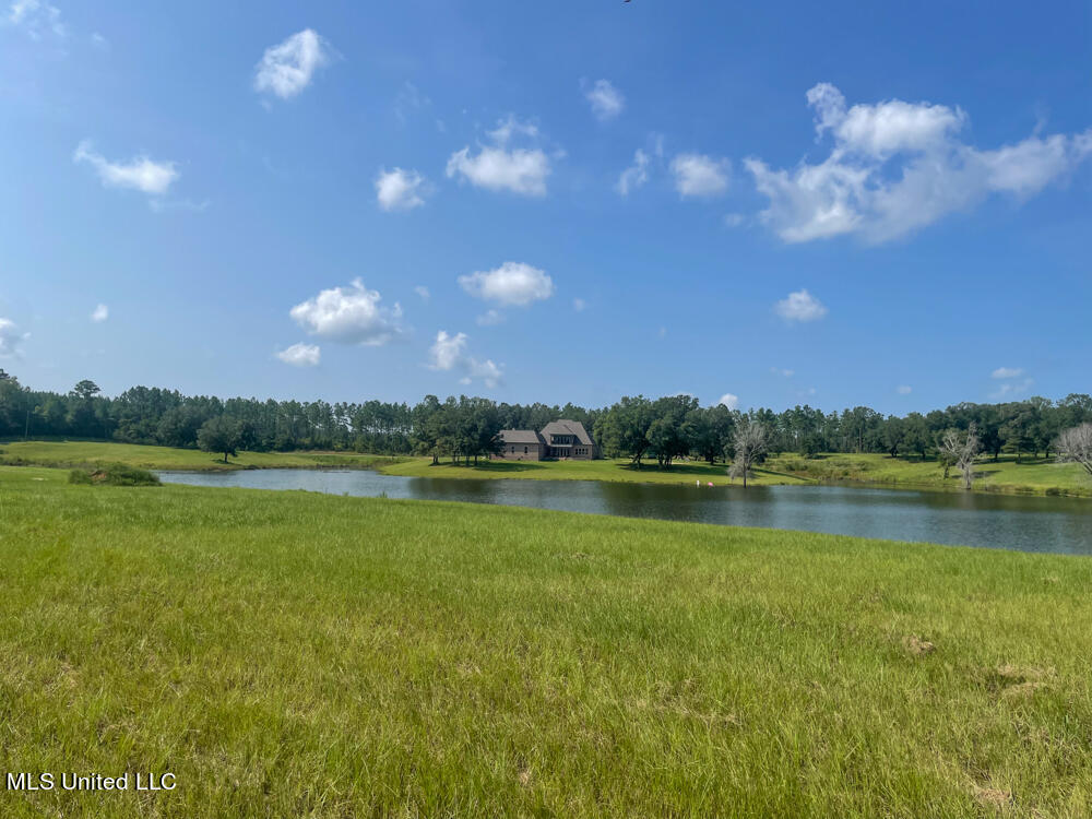 Lot 11 Conner Stringer Drive Lucedale, MS 39452 - Photo 50 of 54 IMG_2322