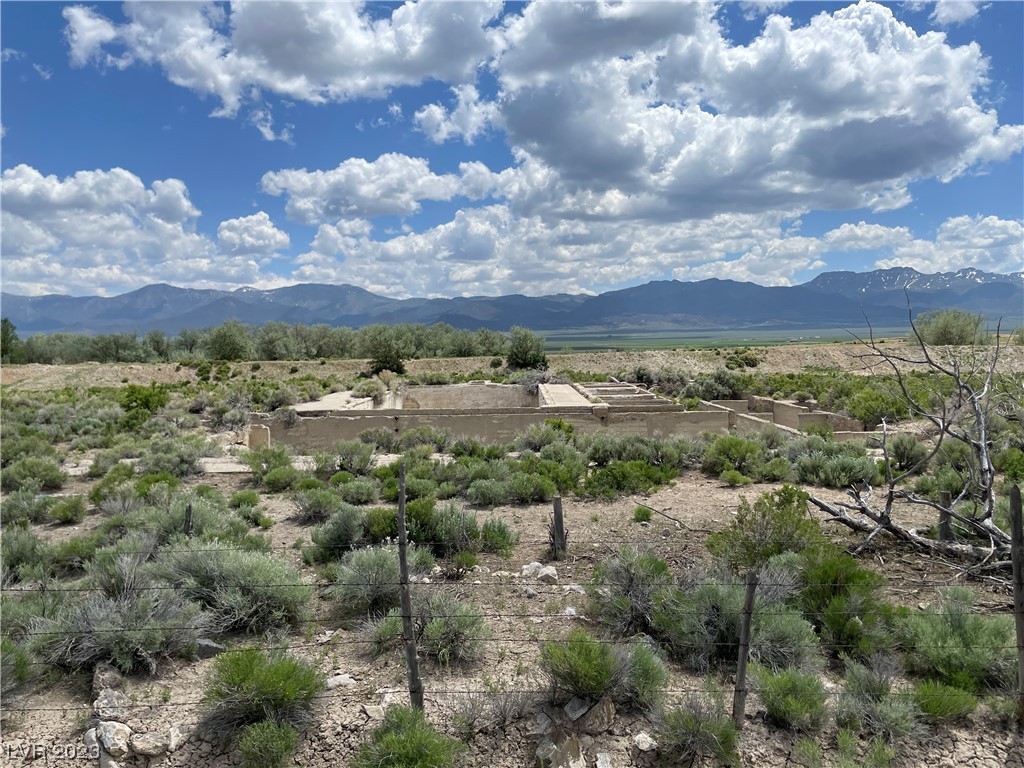 Monte Neva Road Ely, NV 89301 - Photo 11 of 12