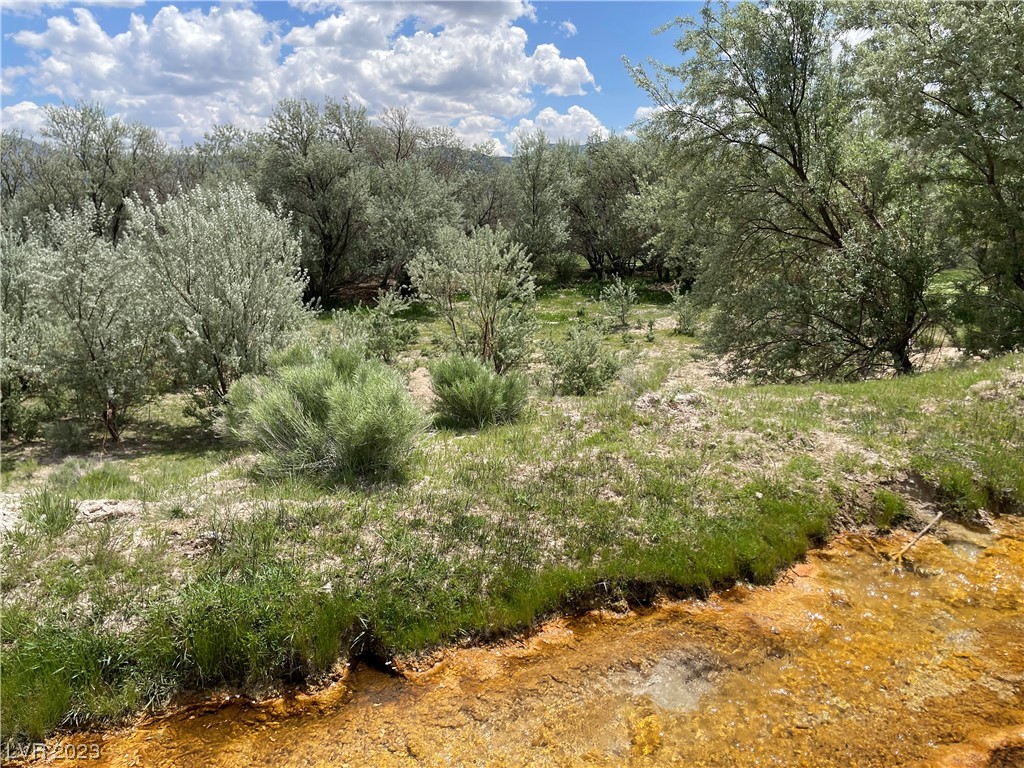 Monte Neva Road Ely, NV 89301 - Photo 4 of 12