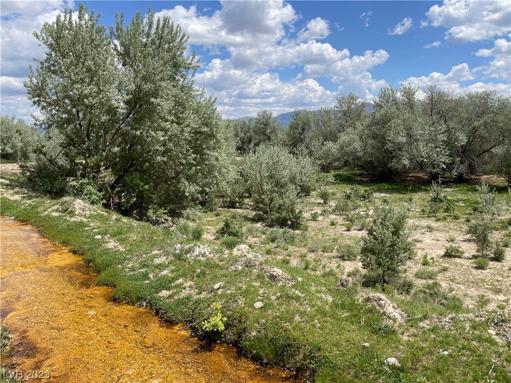 Monte Neva Road Ely, NV 89301 - Photo 5 of 12