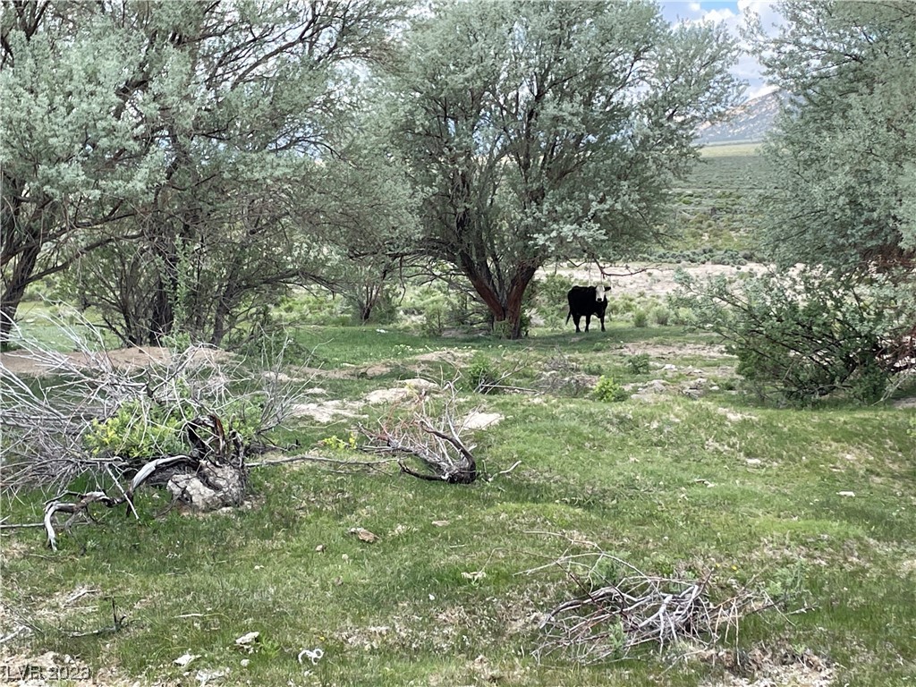Monte Neva Road Ely, NV 89301 - Photo 10 of 12