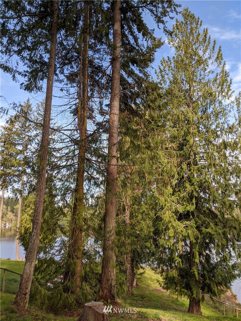 33802 Thomas Road East Eatonville, WA 98328 - Photo 14 of 15 Gallery Image 14