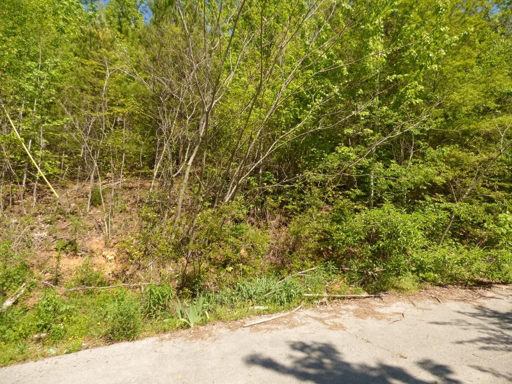 Lot 17 Chestnut Street Spring City, TN 37381 - Photo 2 of 6 2
