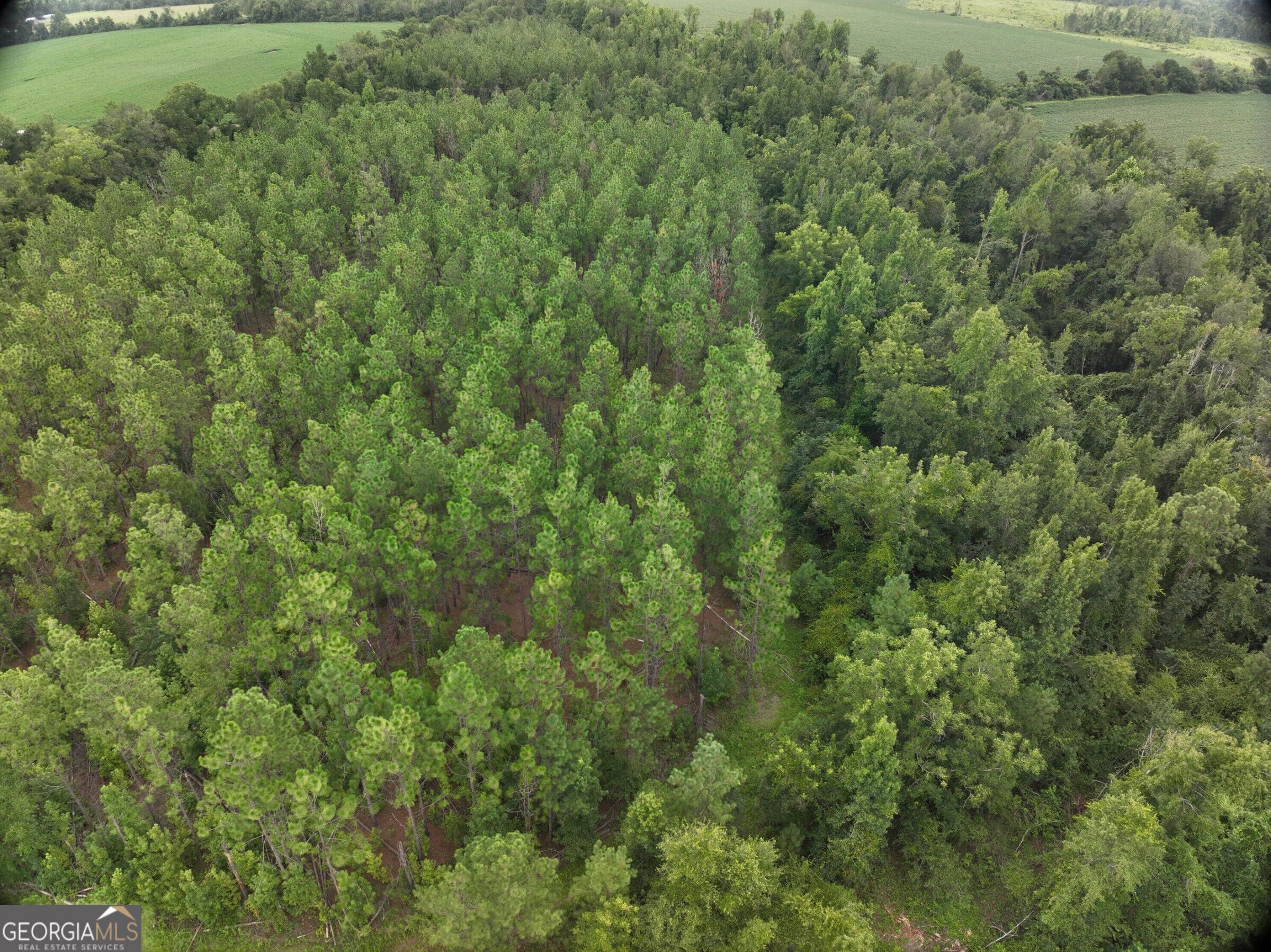 Tbd Tbd Leman Road Lyons, GA 30436 - Photo 11 of 25 Gallery Image 11