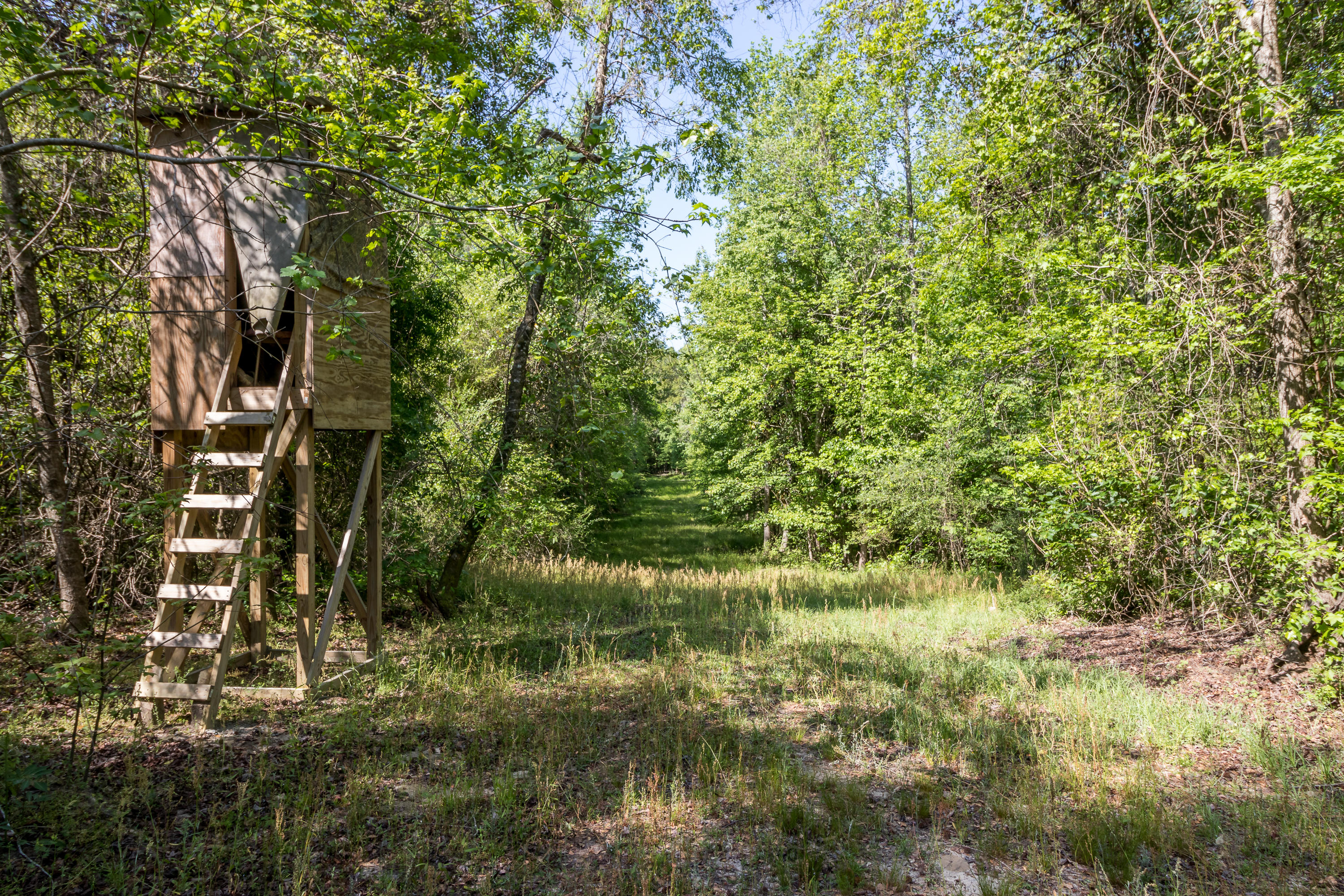 488 Independent School Road Reevesville, SC 29471 - Photo 62 of 77 5--FULL