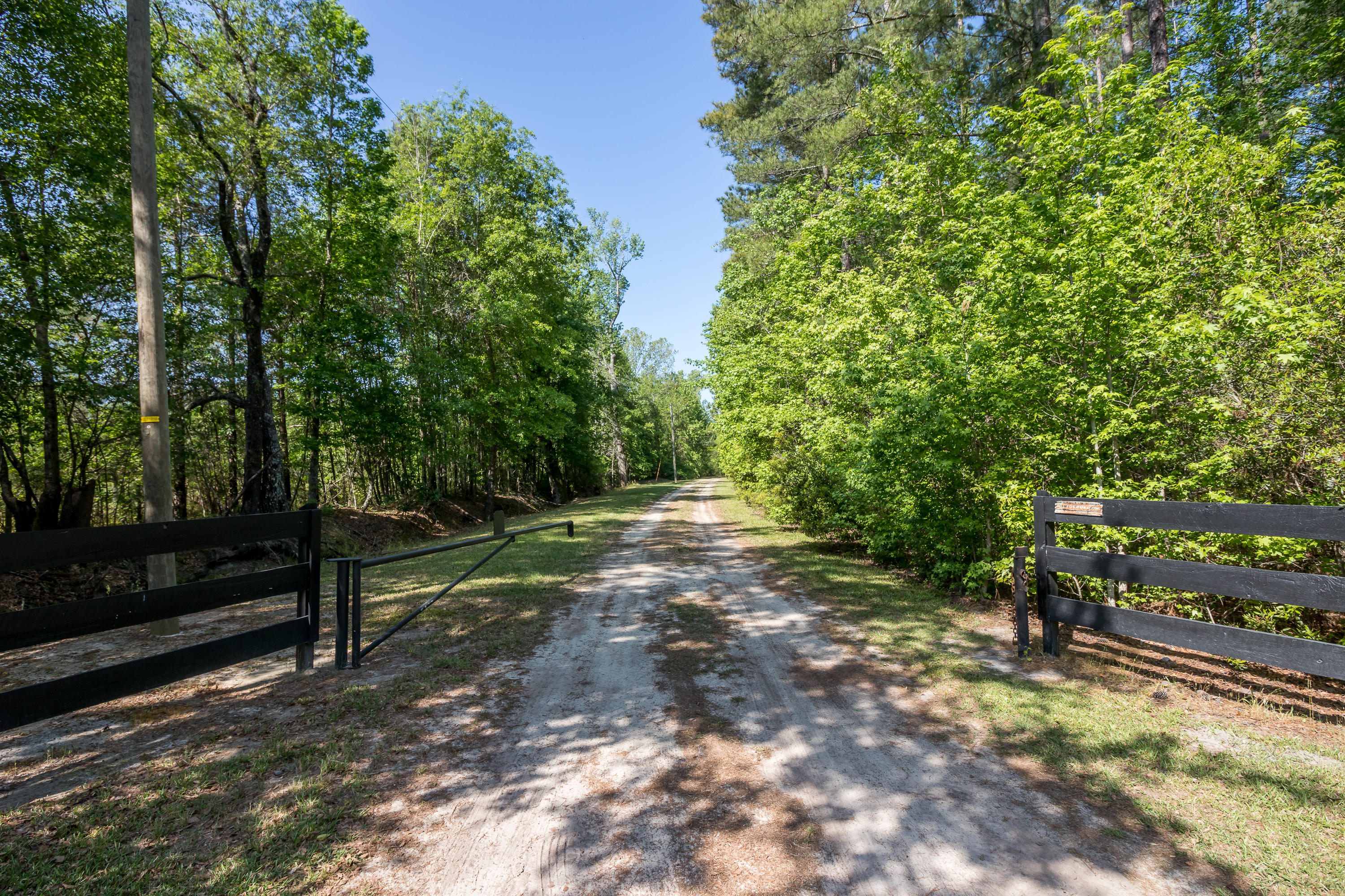 488 Independent School Road Reevesville, SC 29471 - Photo 64 of 77 1--FULL