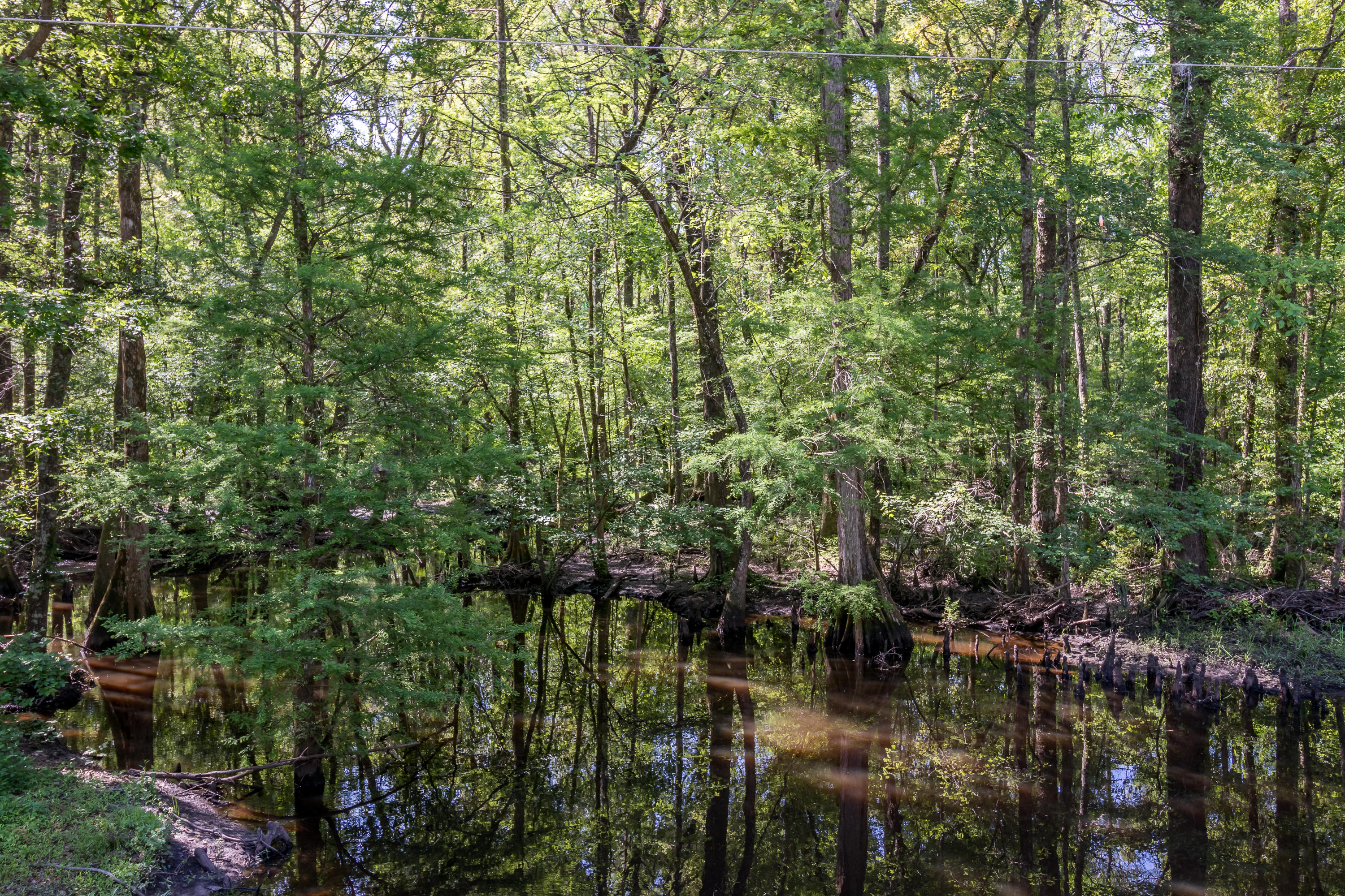 488 Independent School Road Reevesville, SC 29471 - Photo 66 of 77 15--FULL