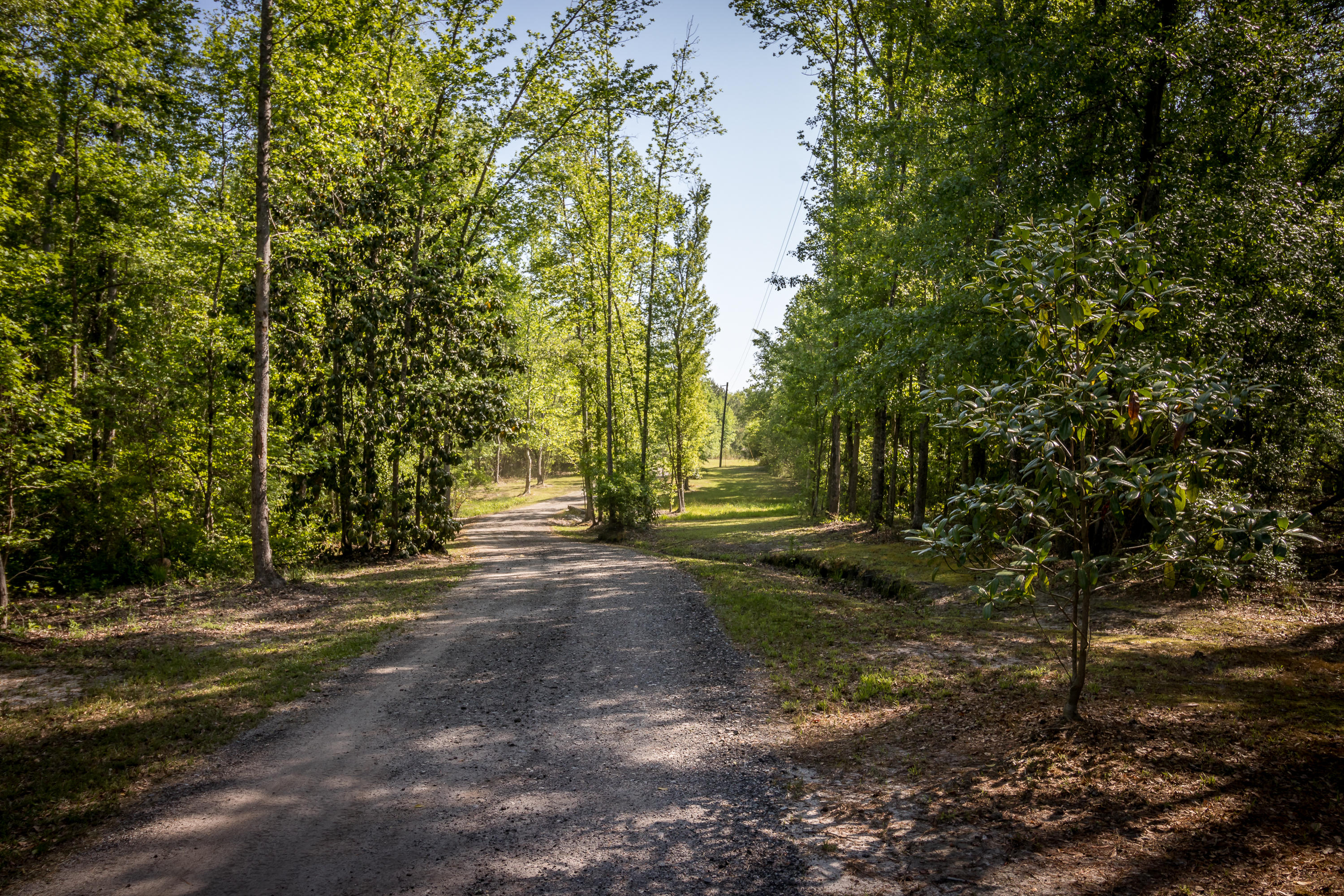 488 Independent School Road Reevesville, SC 29471 - Photo 71 of 77 2--FULL