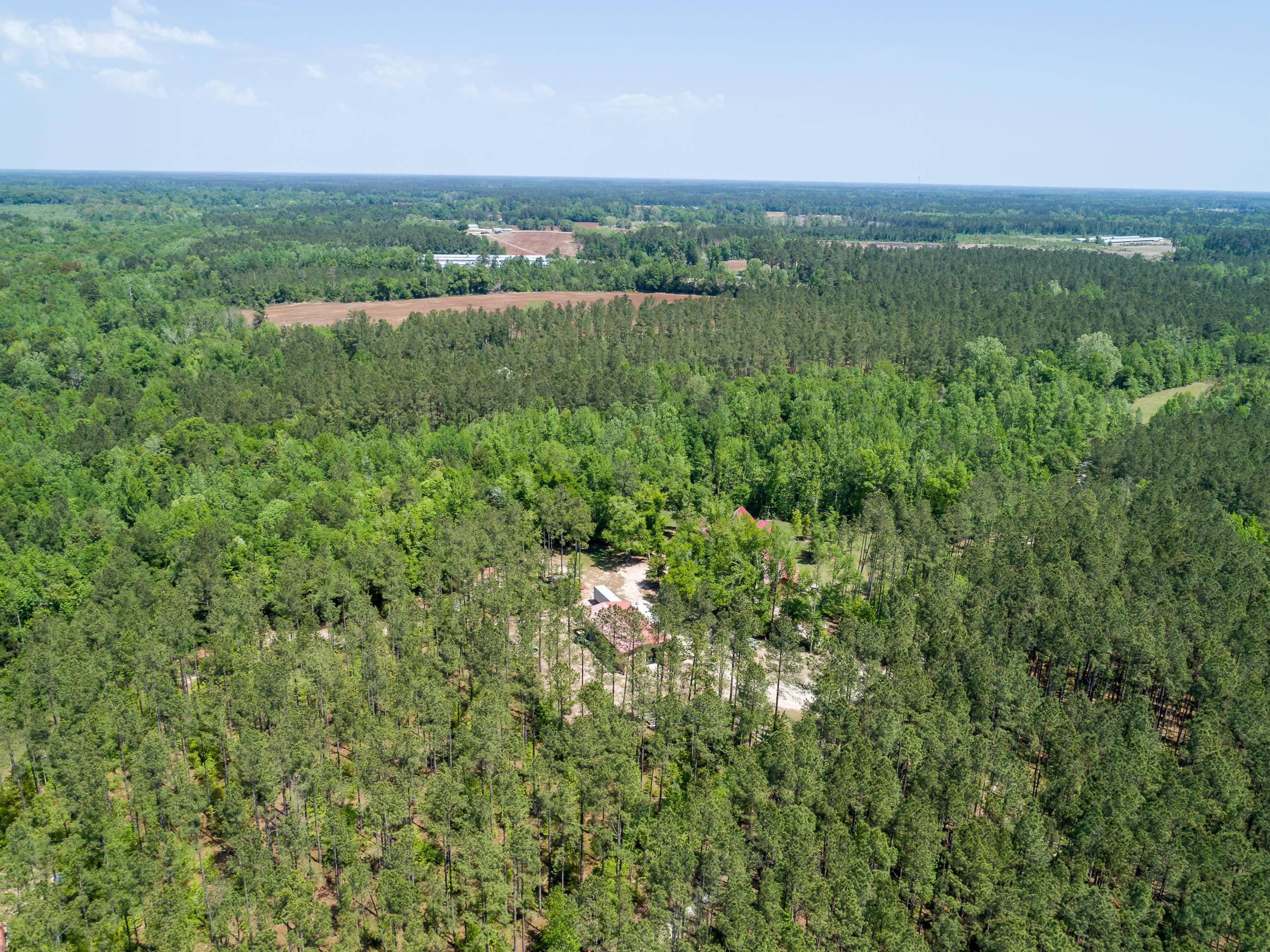 488 Independent School Road Reevesville, SC 29471 - Photo 75 of 77 45--FULL