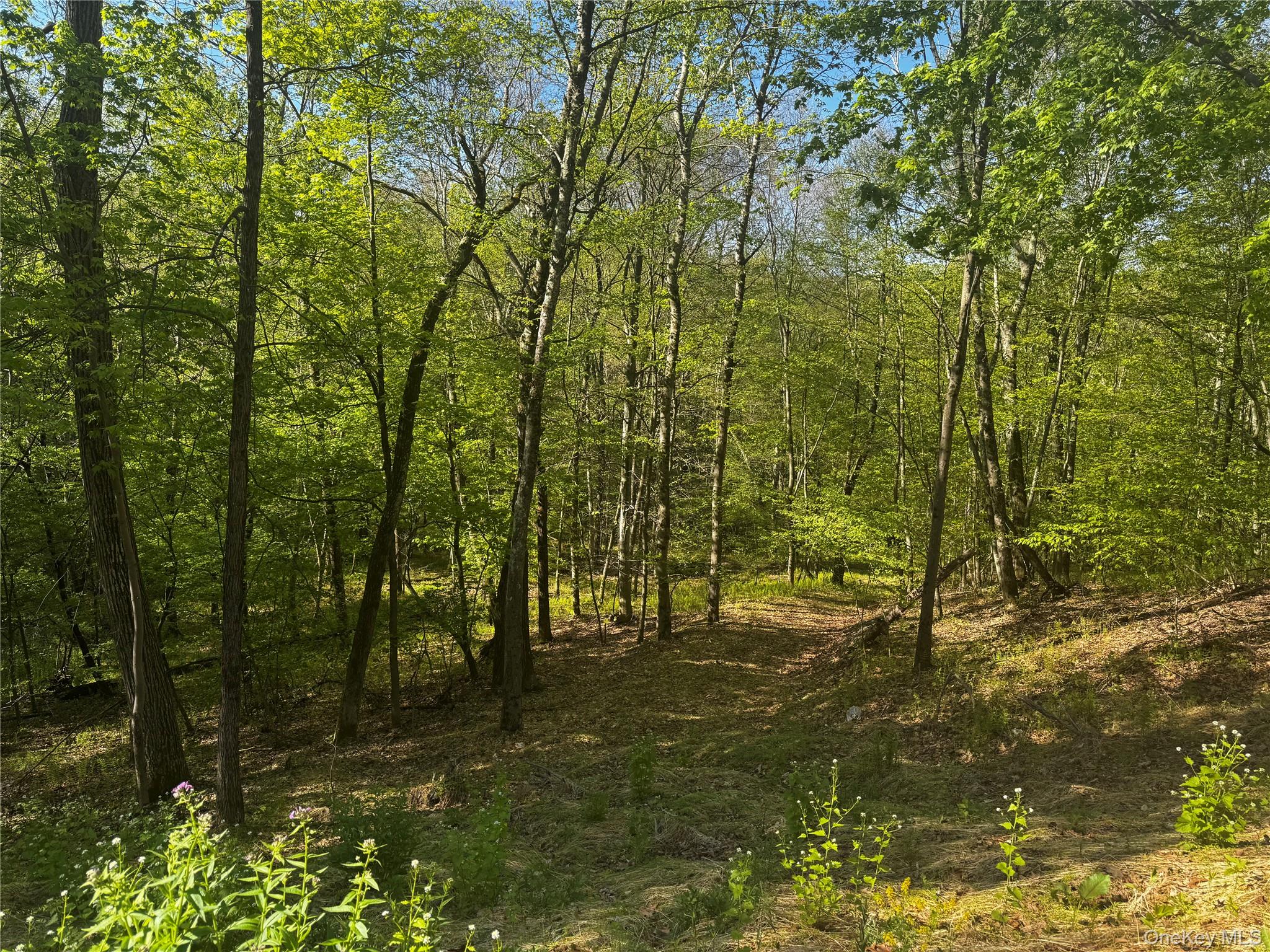 Hall Hill Road Ancram, NY 12502 - Photo 5 of 11 a view of outdoor space and a yard