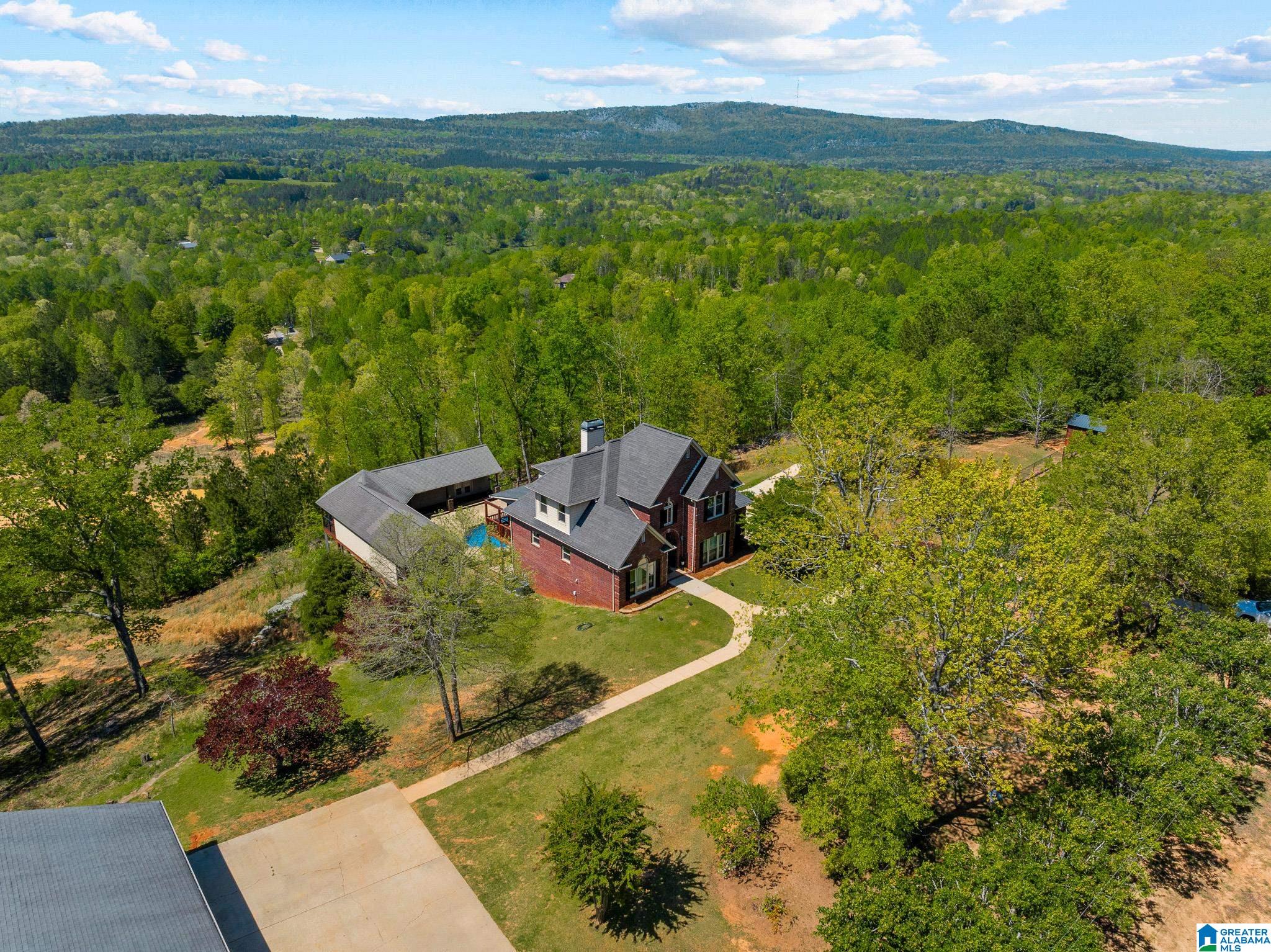 206 Shaw Road Pell City, AL 35128 - Photo 84 of 93