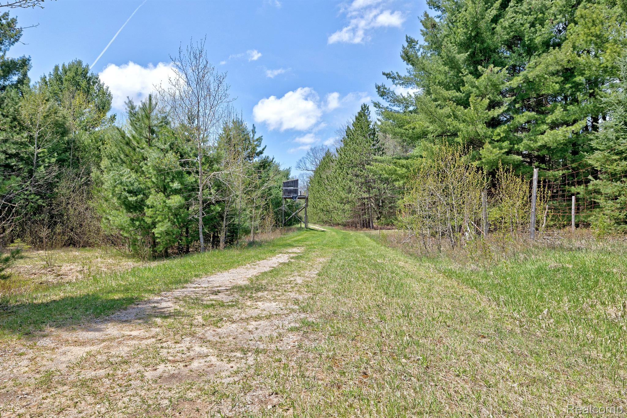 3510 Mccollum Lake Road Curran, MI 48728 - Photo 67 of 99 Gallery Image 67