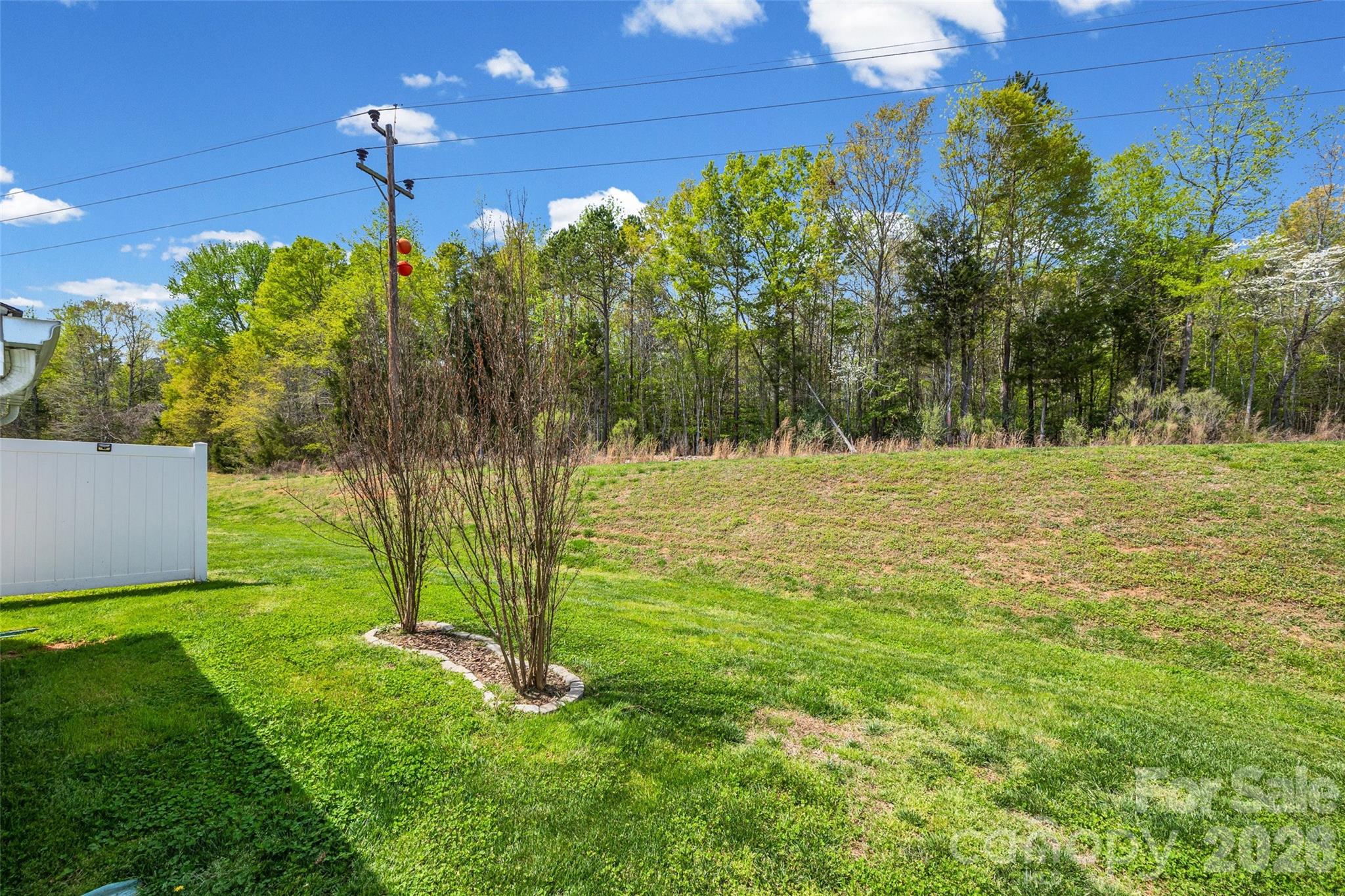 334 Battery Circle Clover, SC 29710 - Photo 26 of 29 a backyard of a house with lots of green space