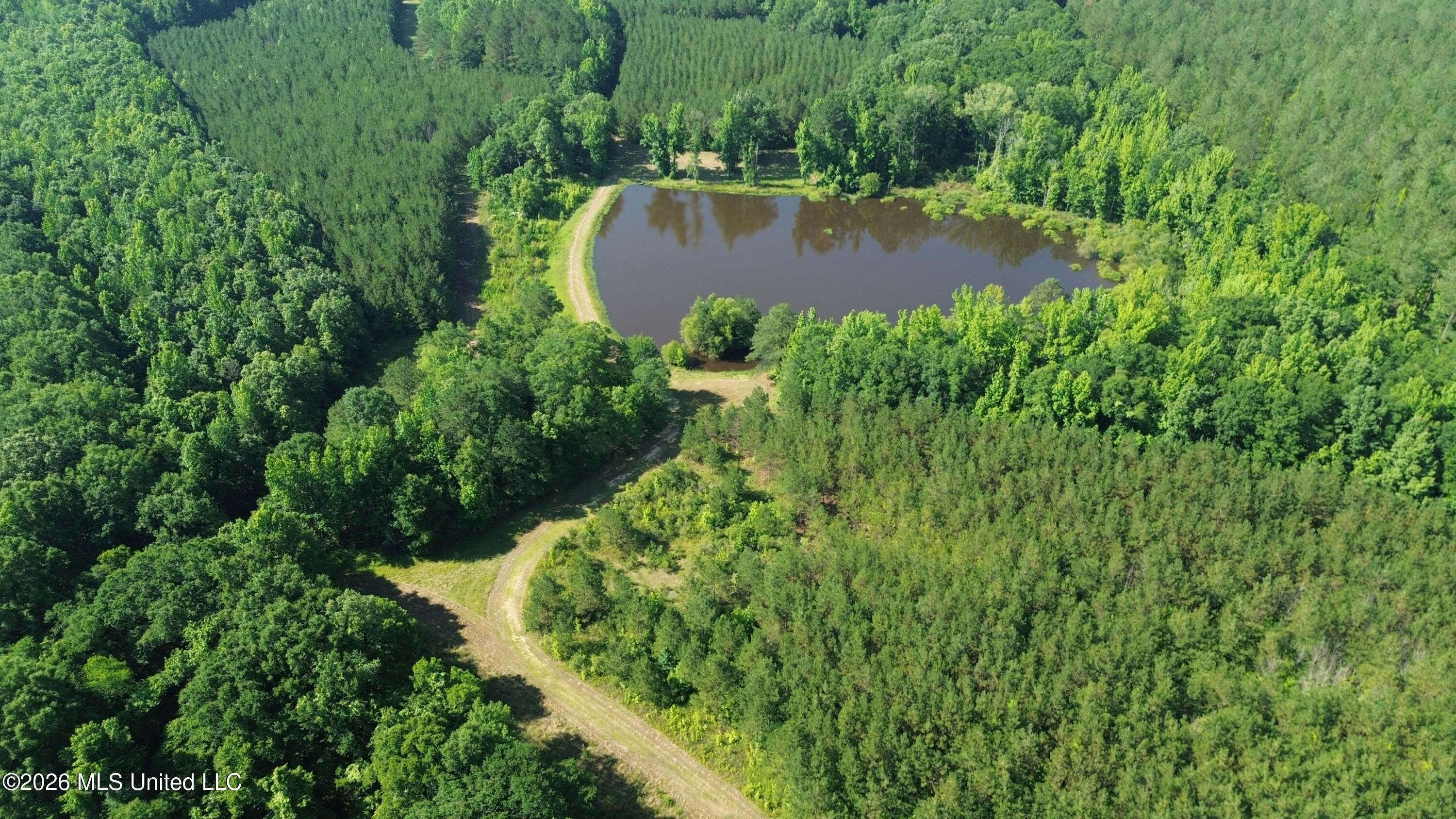 1359 Loring Rd Exd Camden, MS 39045 - Photo 35 of 91 DJI_0428