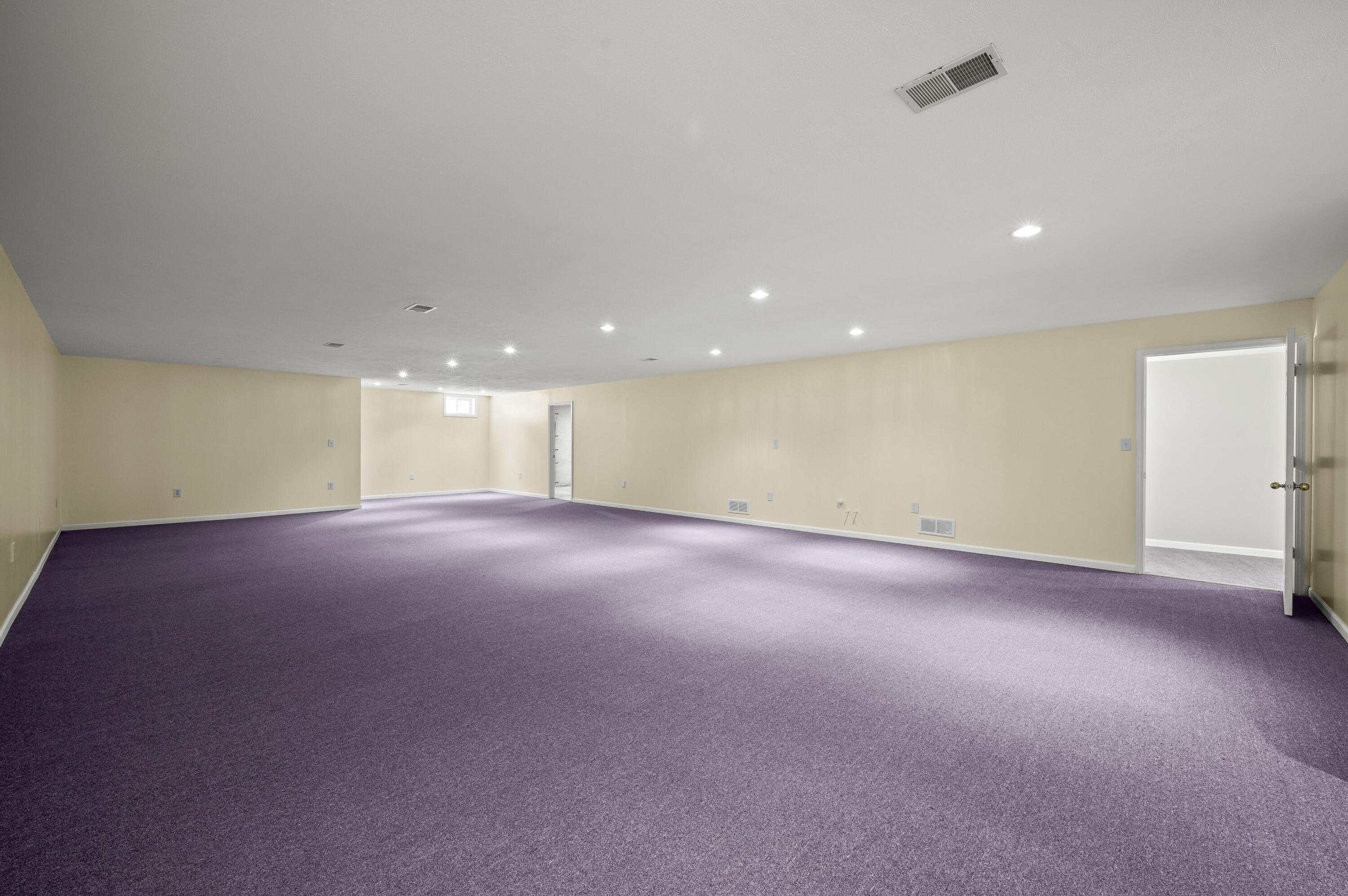 3740 Buffalo Road Niles, MI 49120 - Photo 45 of 75 46DSC_1671