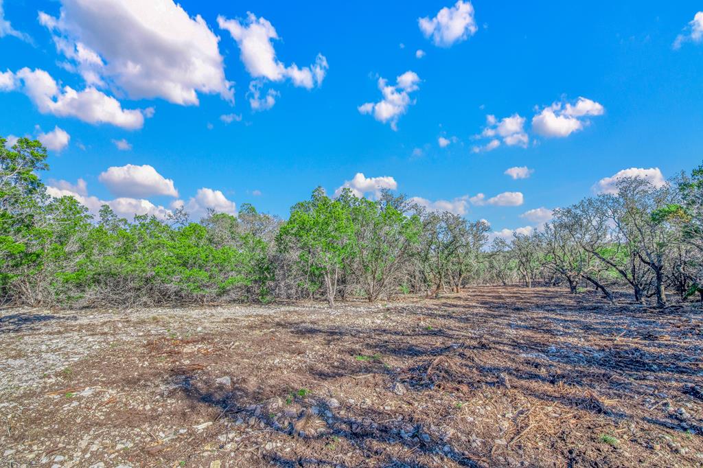 3 Gillespie Ridge Drive, Unit 3 Mountain Home, TX 78058 - Photo 1 of 21 Main View
