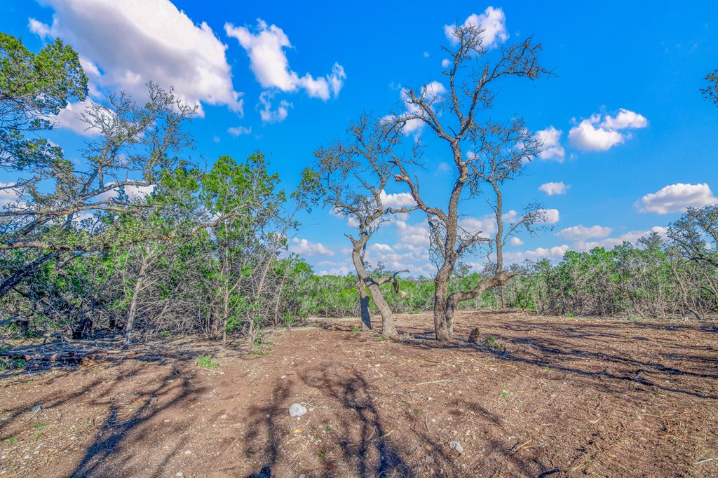 3 Gillespie Ridge Drive, Unit 3 Mountain Home, TX 78058 - Photo 11 of 21