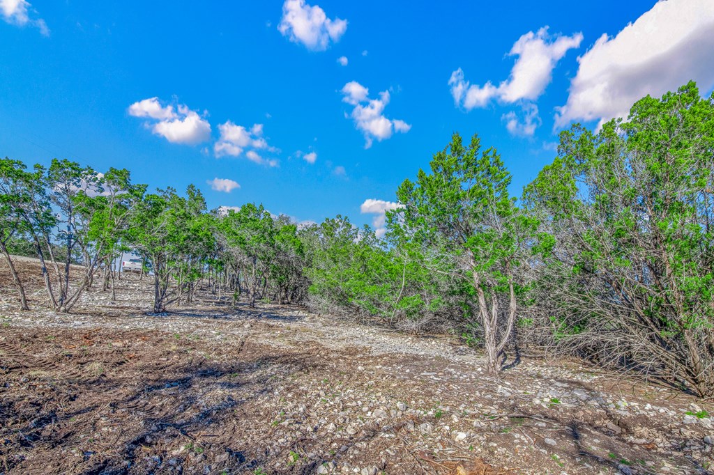 3 Gillespie Ridge Drive, Unit 3 Mountain Home, TX 78058 - Photo 12 of 21